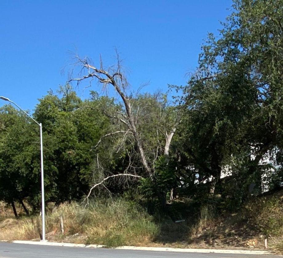 Imagen de terreno en venta en bosque de san pedro, santiago, nuevo león
