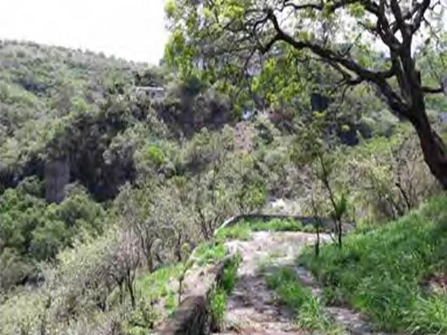 Imagen de terreno en venta en chipitlán, cuernavaca, morelos