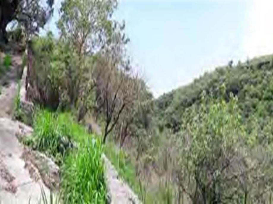 Imagen de terreno en venta en chipitlán, cuernavaca, morelos