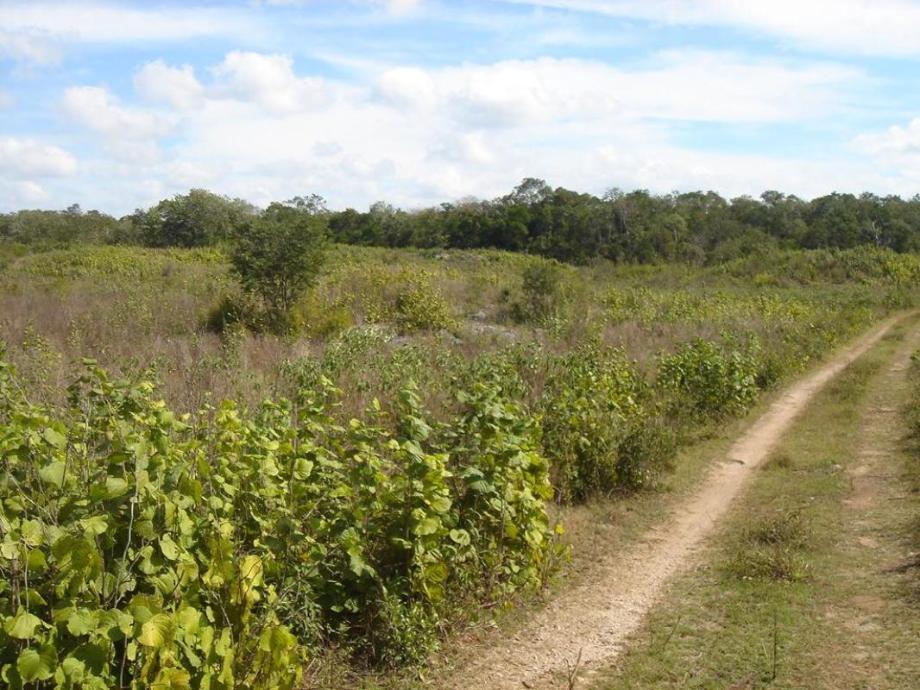 Imagen de terreno en venta en cancún centro, benito juárez, quintana roo