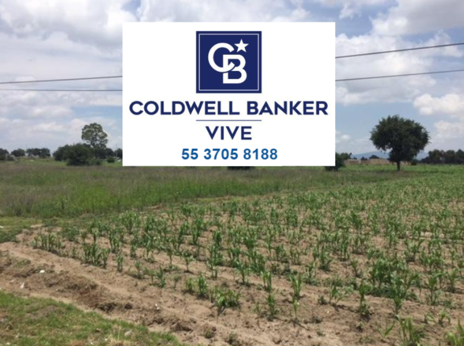 Imagen de terreno en venta en san antoniio, cuapiaxtla, tlaxcala