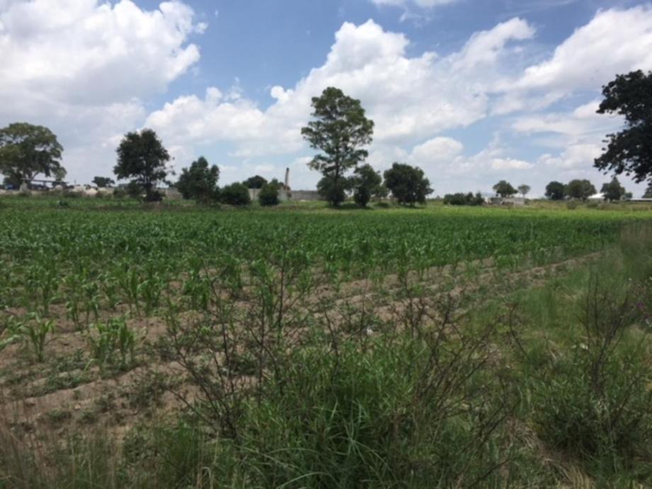 Imagen de terreno en venta en san antoniio, cuapiaxtla, tlaxcala