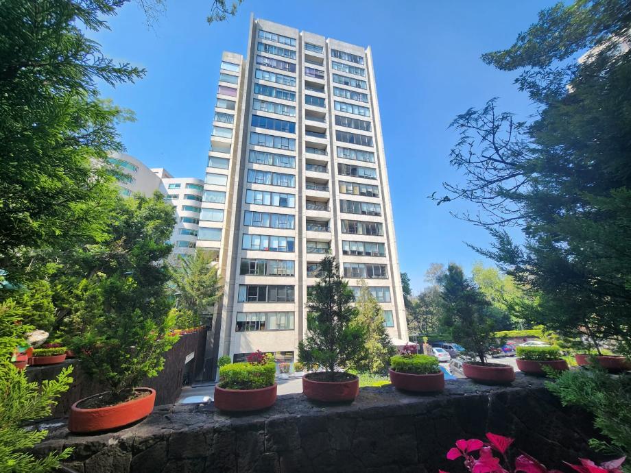Imagen de departamento en renta en lomas de chapultepec i sección, miguel hidalgo, ciudad de méxico