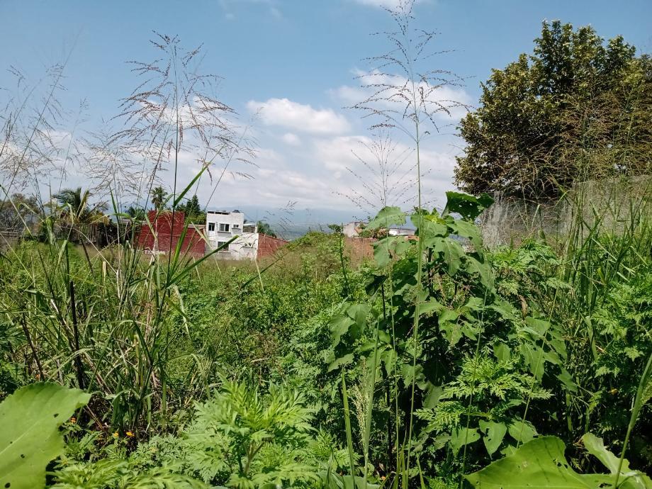 Imagen de terreno en venta en tres de mayo, emiliano zapata, morelos
