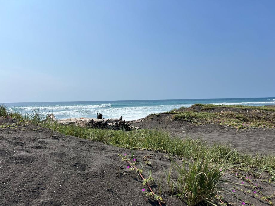 Imagen de terreno en venta en cuyutlán, armería, colima