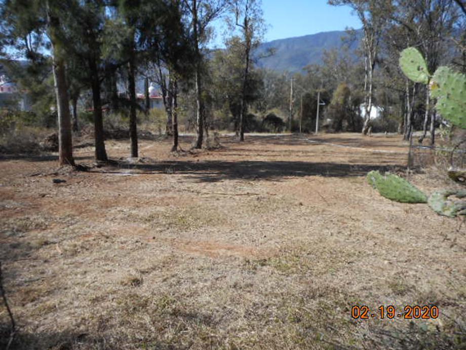 Imagen de terreno en venta en agua escondida, ixtlahuacán de los membrillos, jalisco