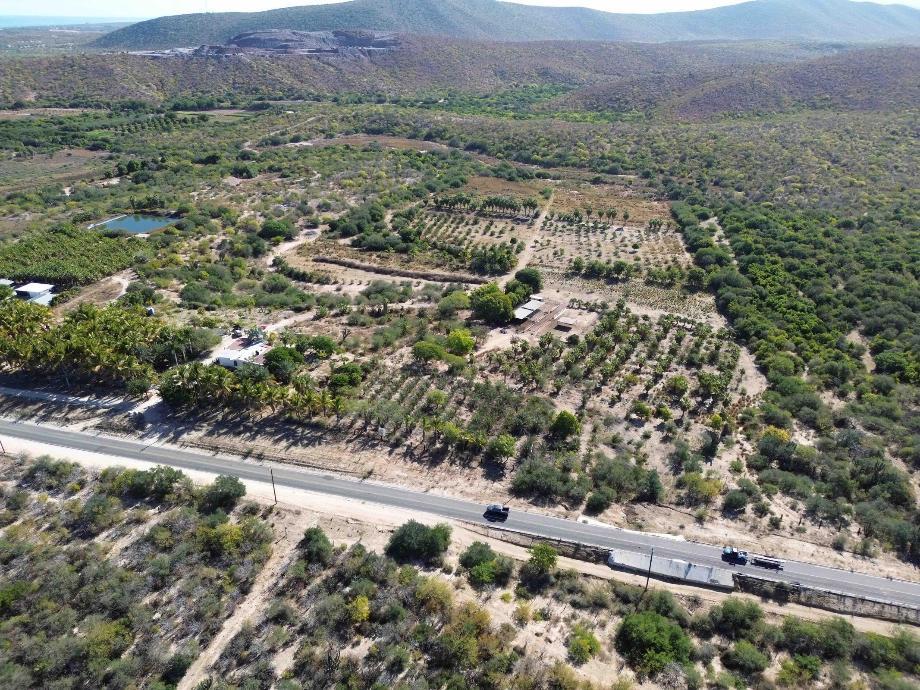 Imagen de terreno en venta en la ribera, los cabos, baja california sur