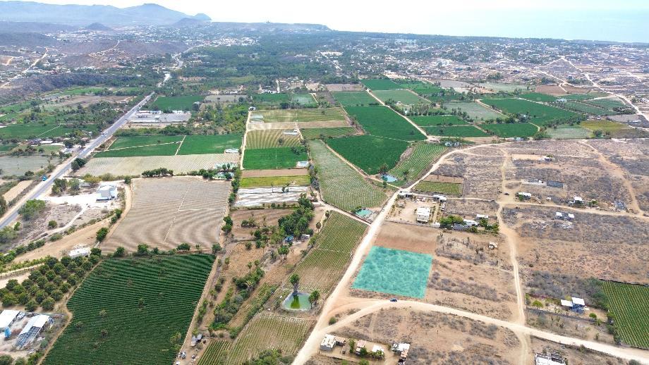Imagen de terreno en venta en las flores, la paz, baja california sur