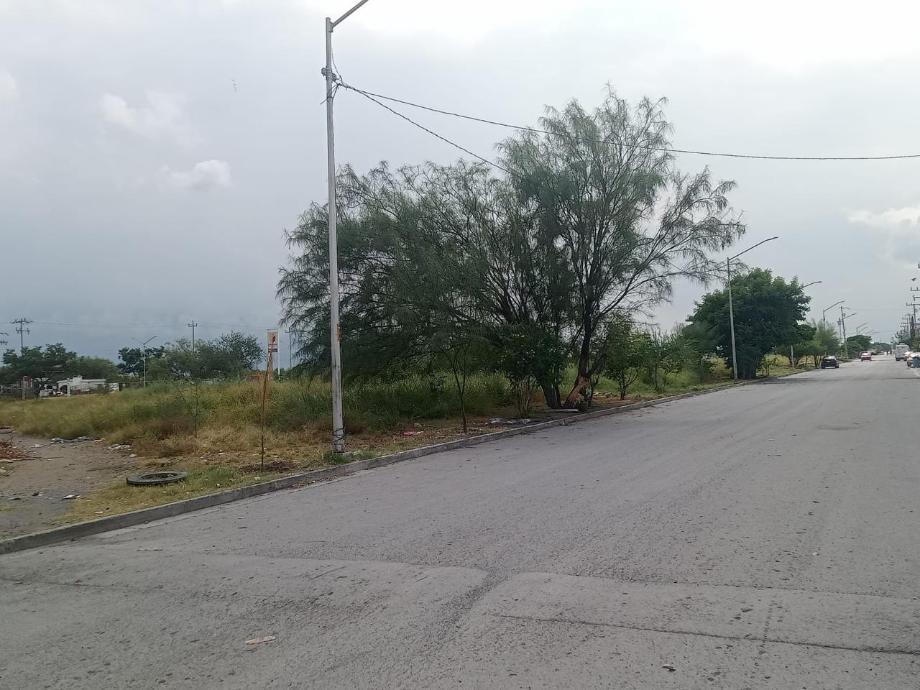 Imagen de terreno en renta en alianza real, general escobedo, nuevo león