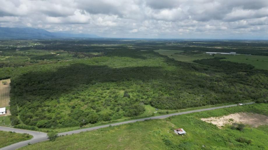 Imagen de terreno en venta en congregación calles, montemorelos, nuevo león
