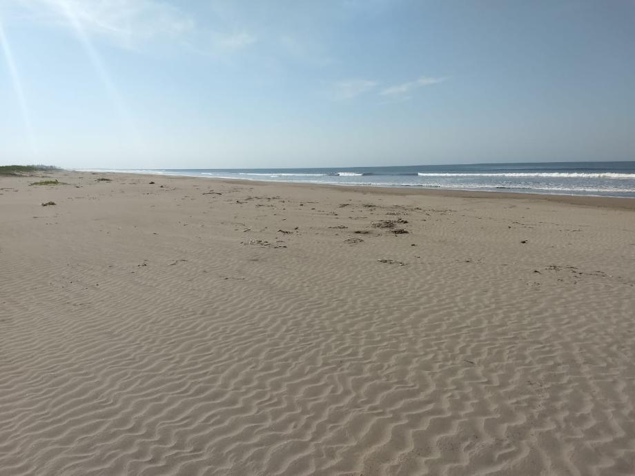 Imagen de terreno en venta en novillero, tecuala, nayarit