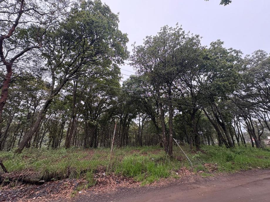 Imagen de terreno en venta en espíritu santo, jilotzingo, estado de méxico