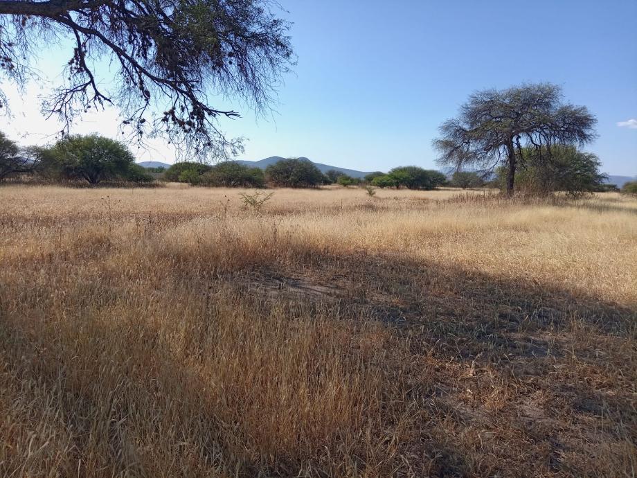 Imagen de terreno en venta en camino real, colón, querétaro