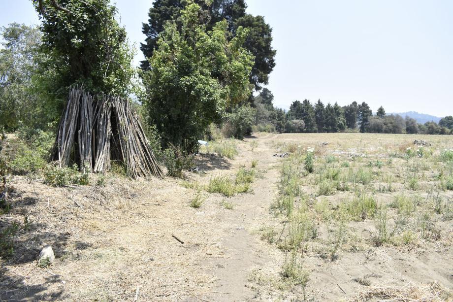 Imagen de terreno en venta en san jacinto, atlautla, estado de méxico