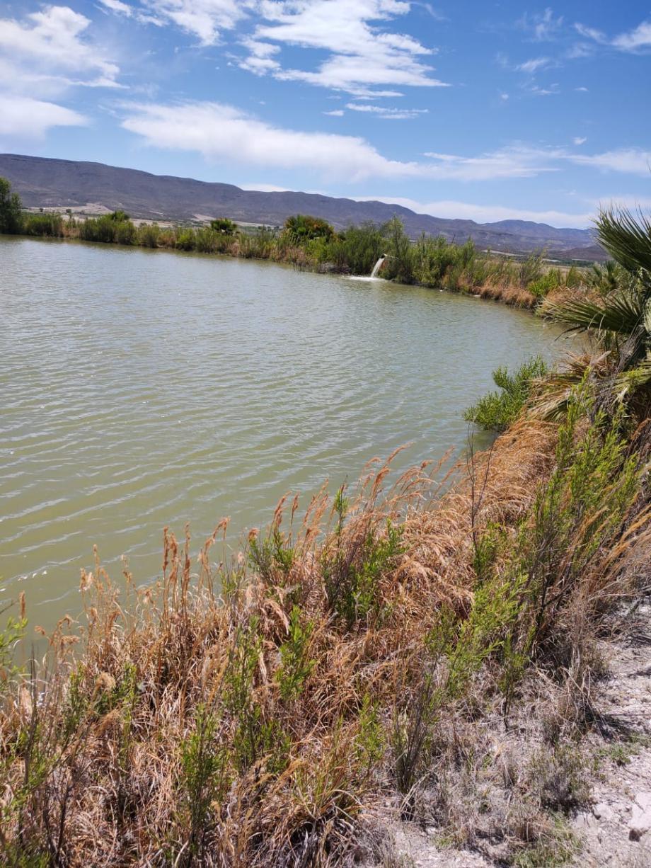 Imagen de terreno en venta en san francisco de conchos, san francisco de conchos, chihuahua