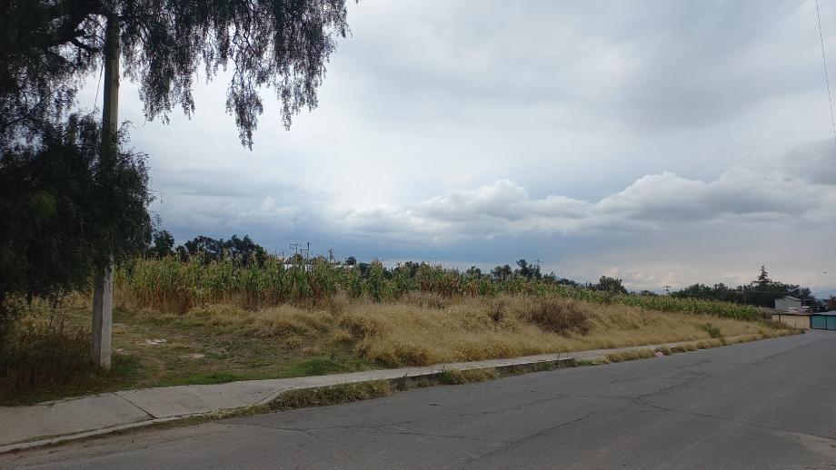 Imagen de terreno en venta en san felipe teotitlán, nopaltepec, estado de méxico