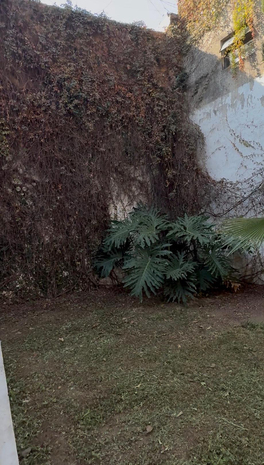 Imagen de casa en renta en ladrón de guevara, guadalajara, jalisco