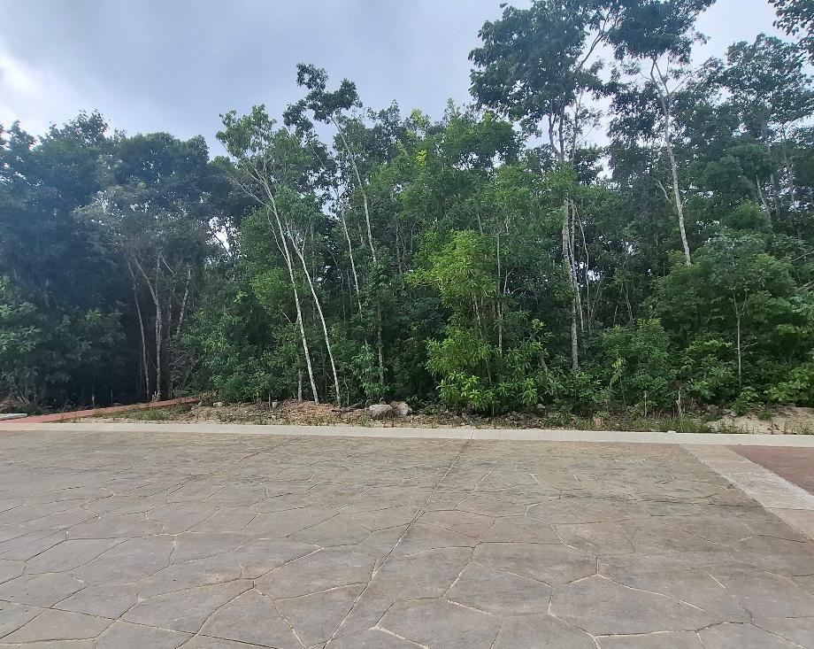 Imagen de terreno en venta en residencial altai, benito juárez, quintana roo