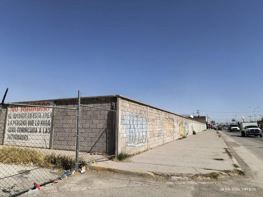 Imagen de terreno en renta en nueva california, torreón, coahuila de zaragoza