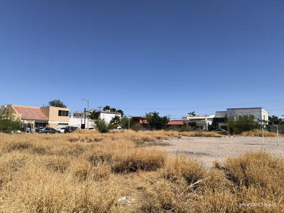 Imagen de terreno en renta en torreón residencial, torreón, coahuila de zaragoza