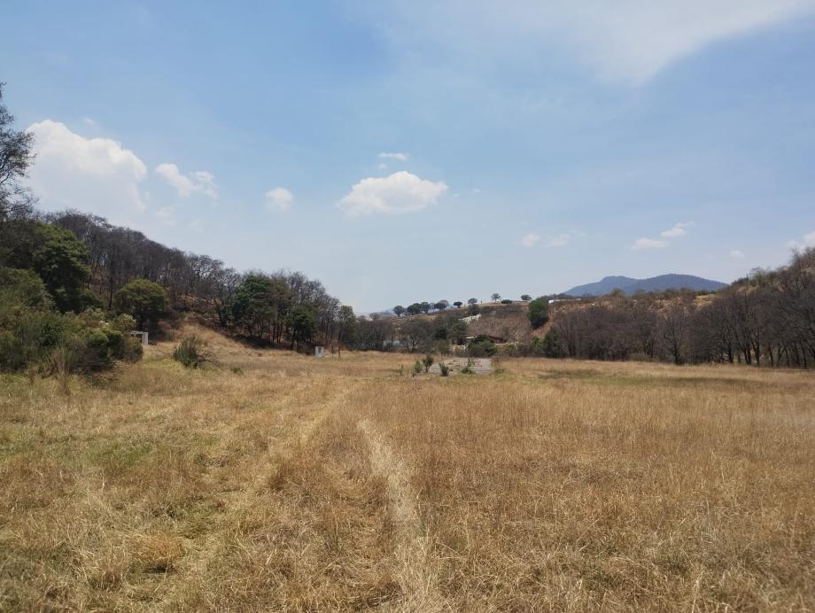 Imagen de terreno en venta en puente de piedra, naucalpan de juárez, estado de méxico