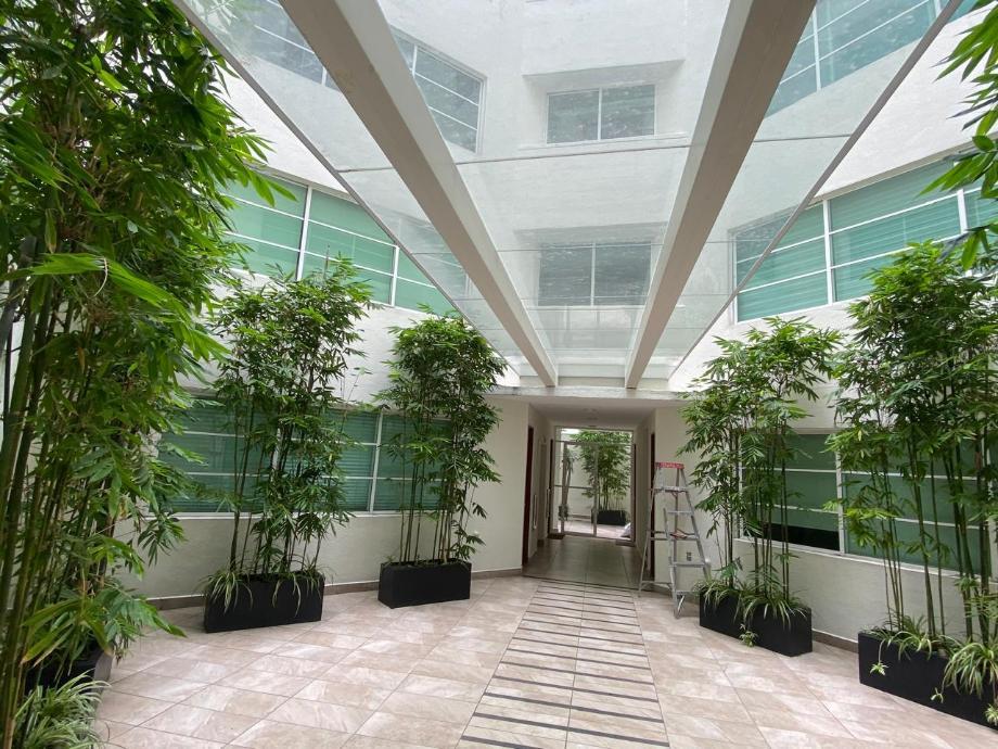 Imagen de departamento en renta en del valle norte, benito juárez, ciudad de méxico
