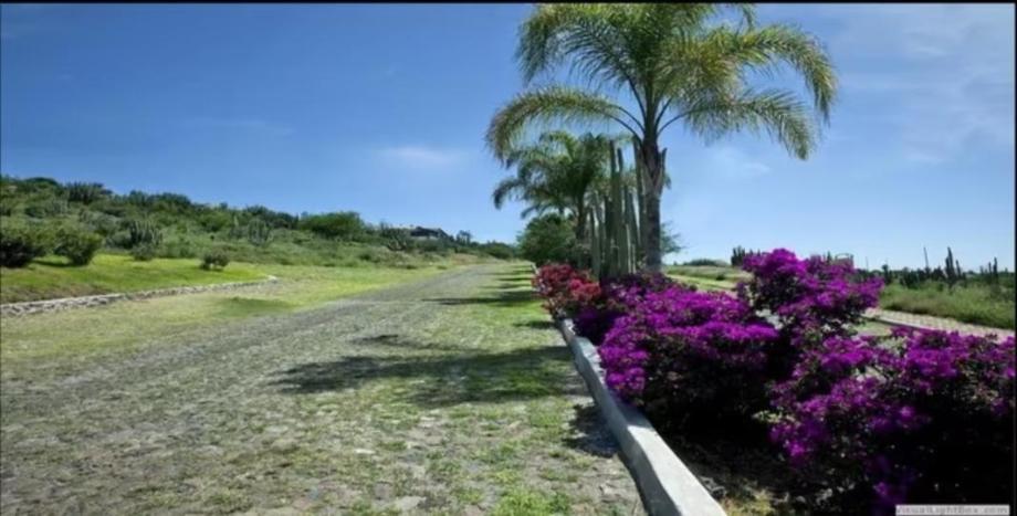 Imagen de terreno en venta en hidalgo centro, tecozautla, hidalgo