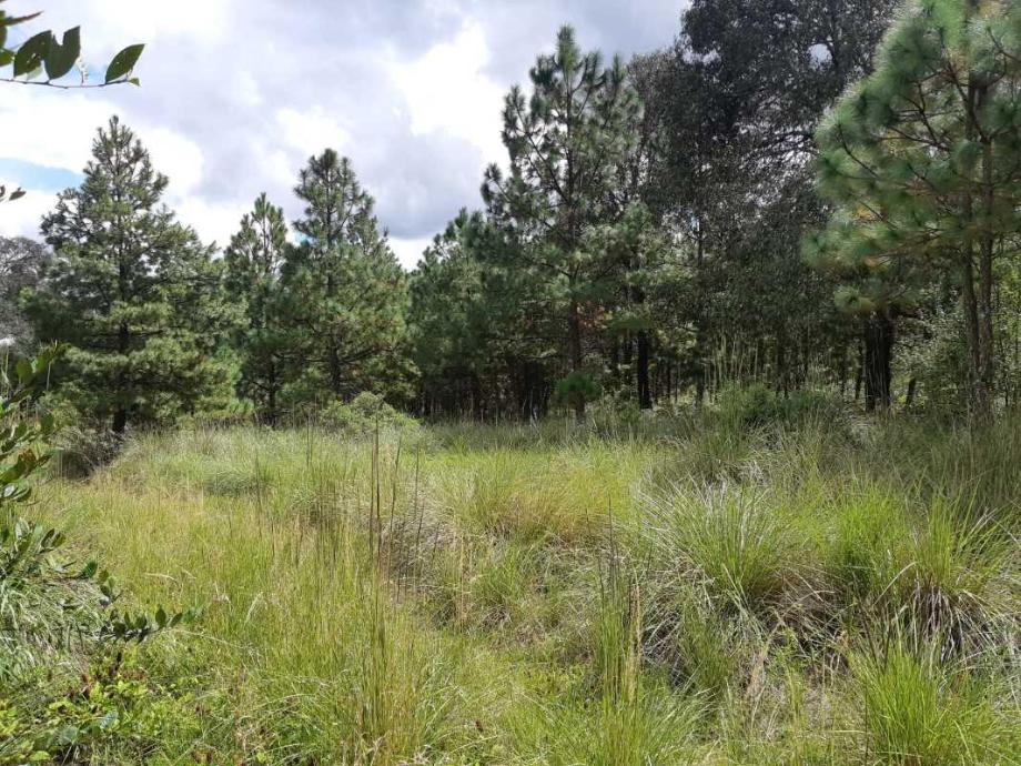 Imagen de terreno en venta en cuatro palos, singuilucan, hidalgo