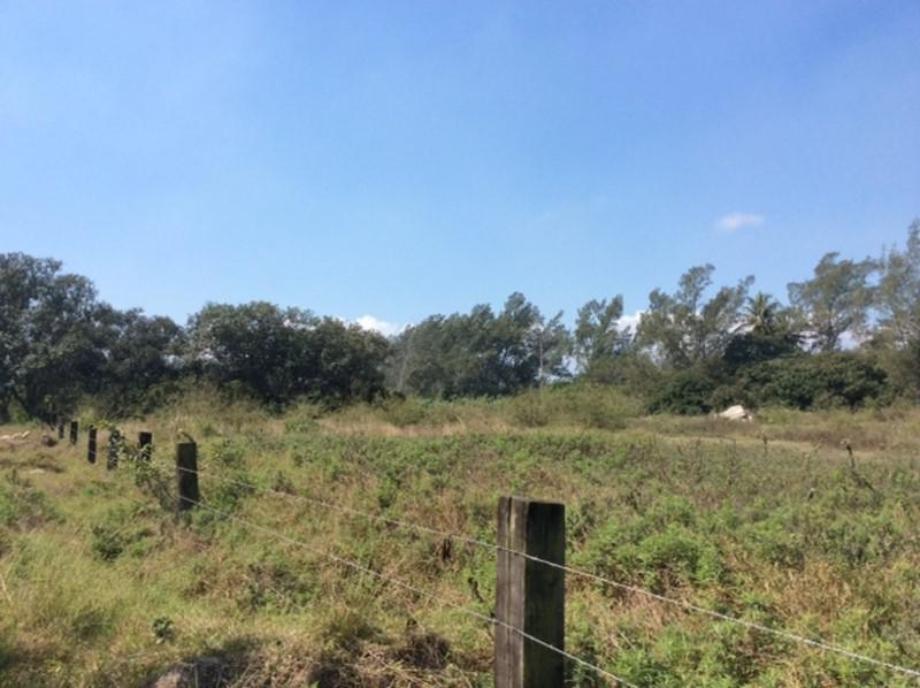 Imagen de terreno en renta en miramar, ciudad madero, tamaulipas