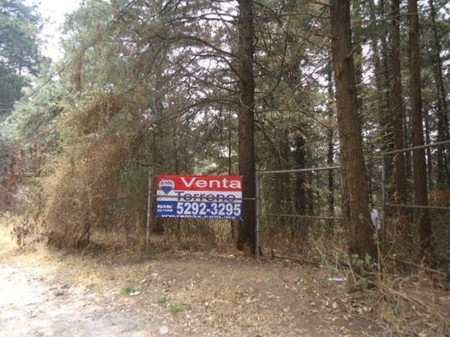 Imagen de terreno en venta en san mateo tlaltenango, cuajimalpa de morelos, ciudad de méxico