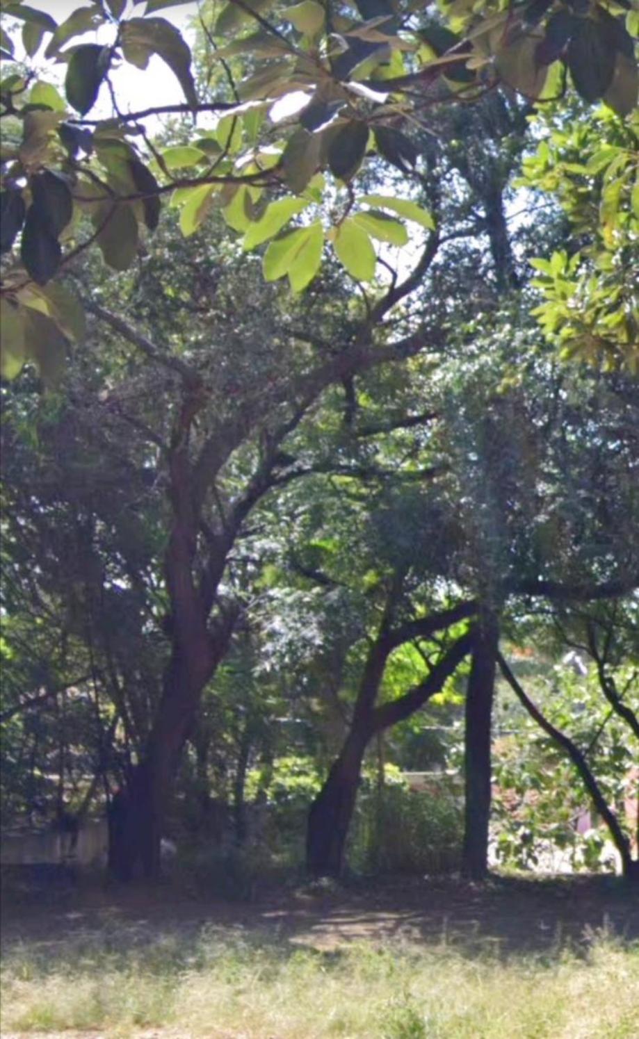 Imagen de terreno en venta en reforma, oaxaca de juárez, oaxaca