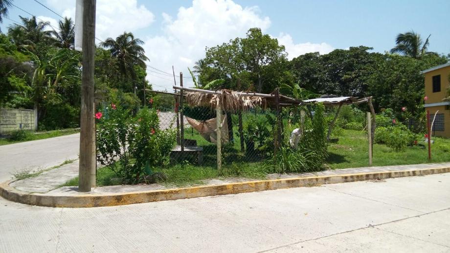Imagen de terreno en venta en miramar, tampico alto, veracruz