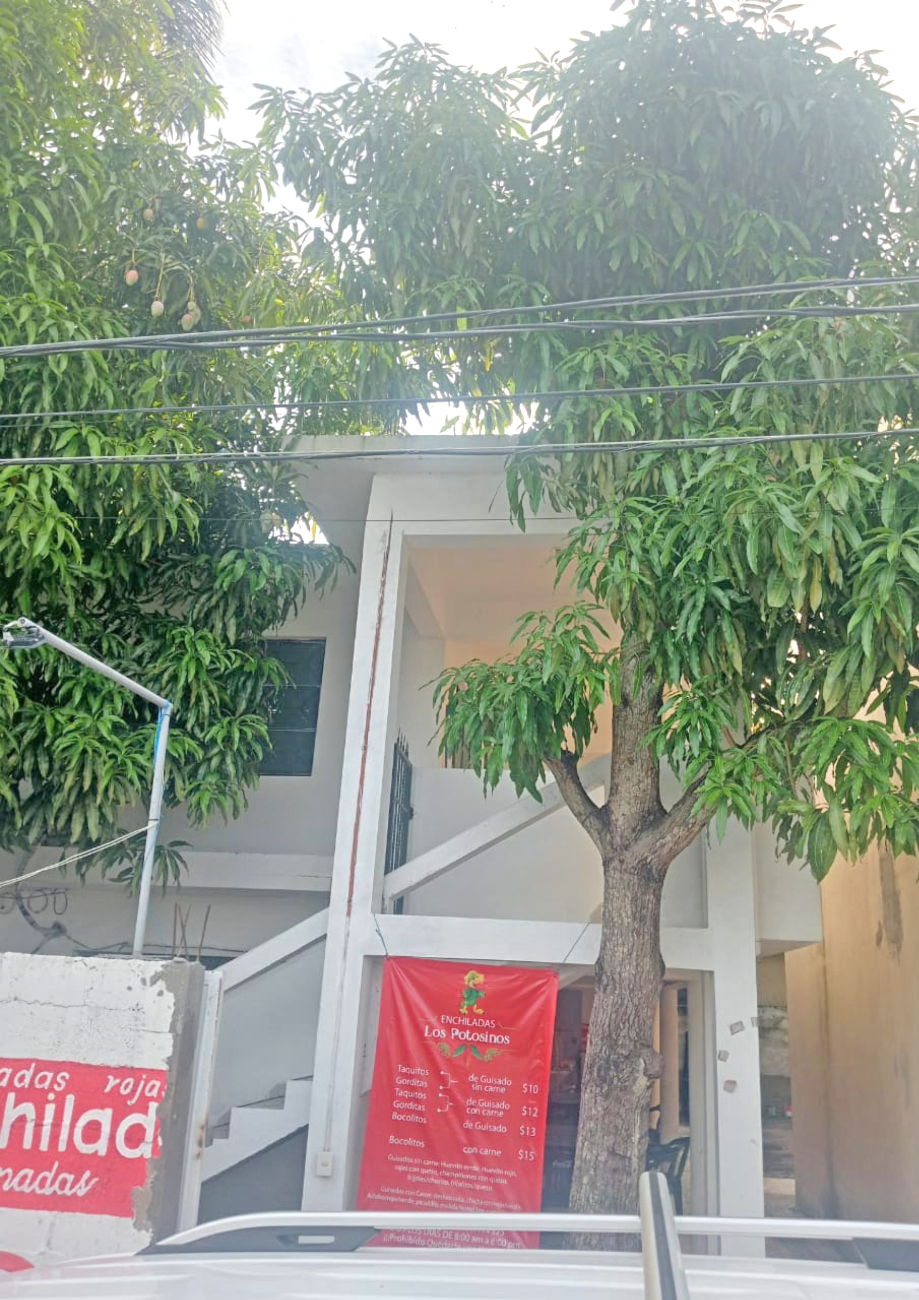 Imagen de local en renta en altamira centro, altamira, tamaulipas