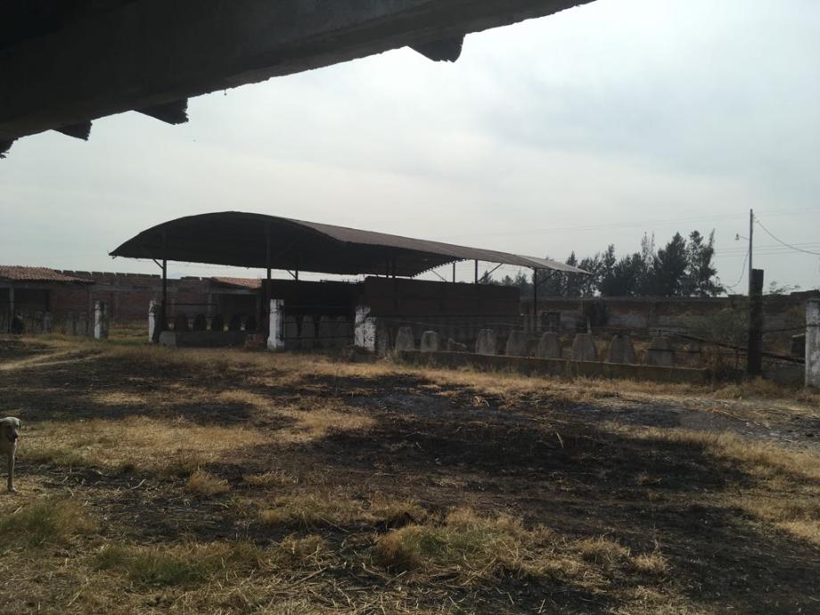 Imagen de terreno en renta en san juan de la presa, salamanca, guanajuato