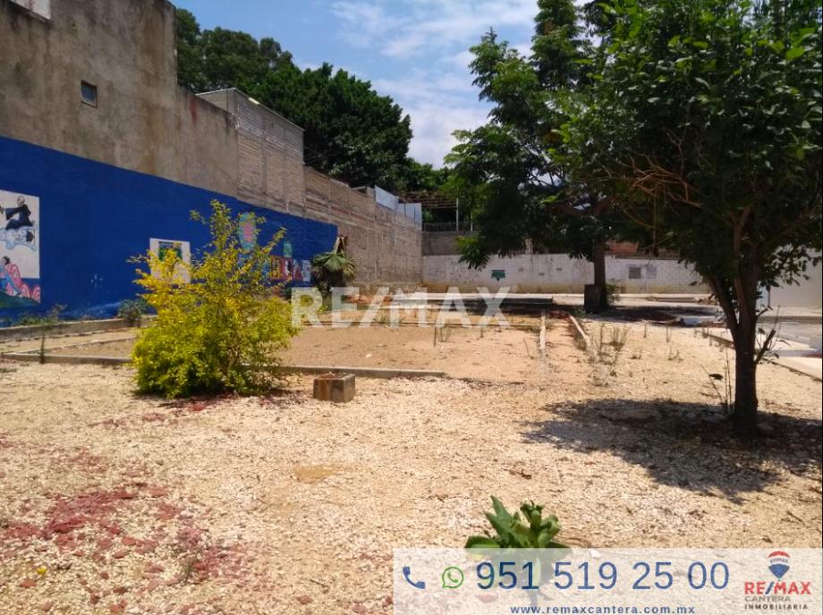 Imagen de terreno en renta en olímpica, oaxaca de juárez, oaxaca