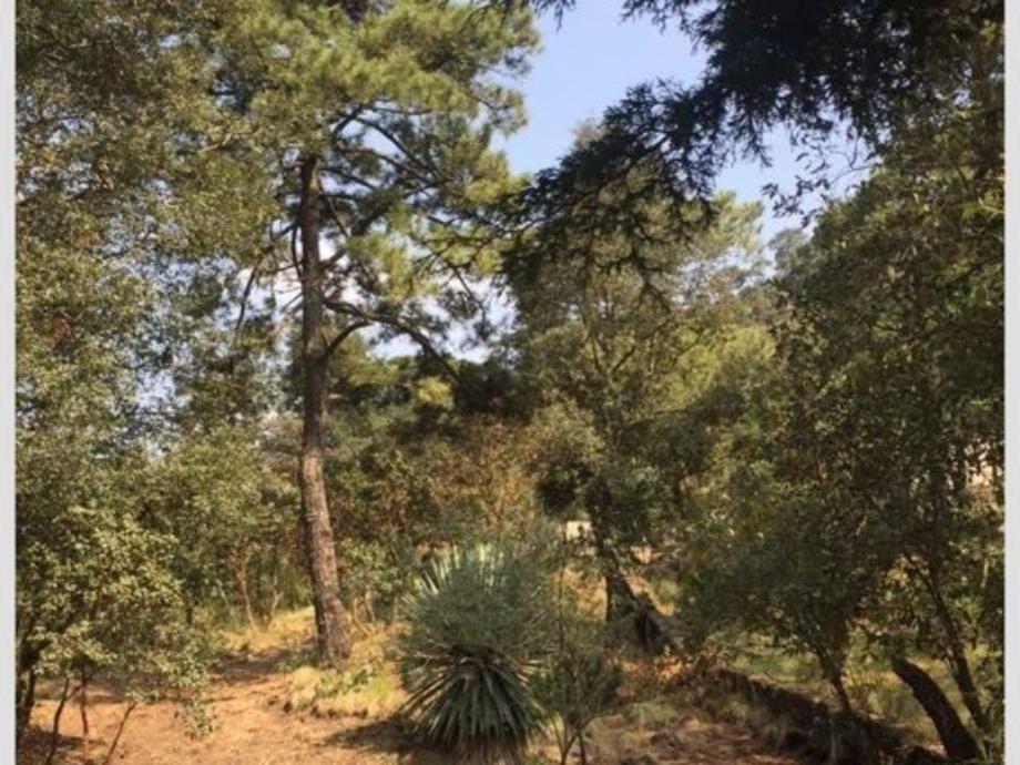 Imagen de terreno en venta en héroes de 1910, tlalpan, ciudad de méxico