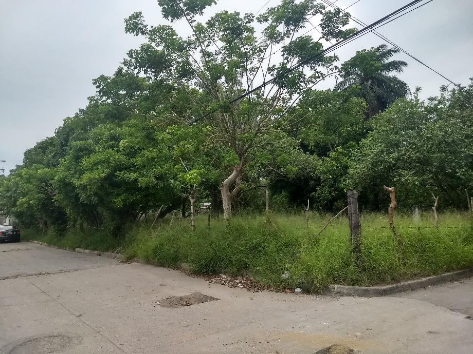 Imagen de terreno en venta en ciudad cuauhtémoc, pueblo viejo, veracruz