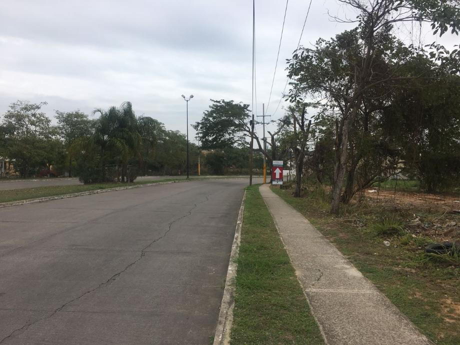 Imagen de terreno en renta en los pinos, tampico, tamaulipas