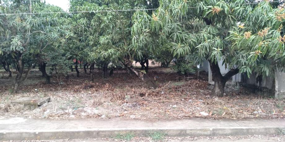 Imagen de terreno en venta en las américas, ebano, san luis potosí