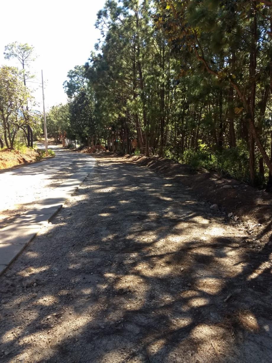 Imagen de terreno en venta en navidad, mascota, jalisco