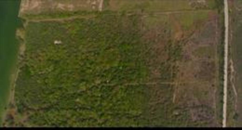 Imagen de terreno en venta en anáhuac, pueblo viejo, veracruz