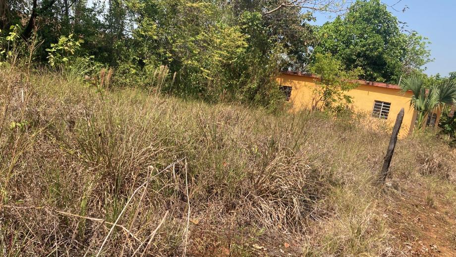 Imagen de terreno en venta en huapinol, centro, tabasco