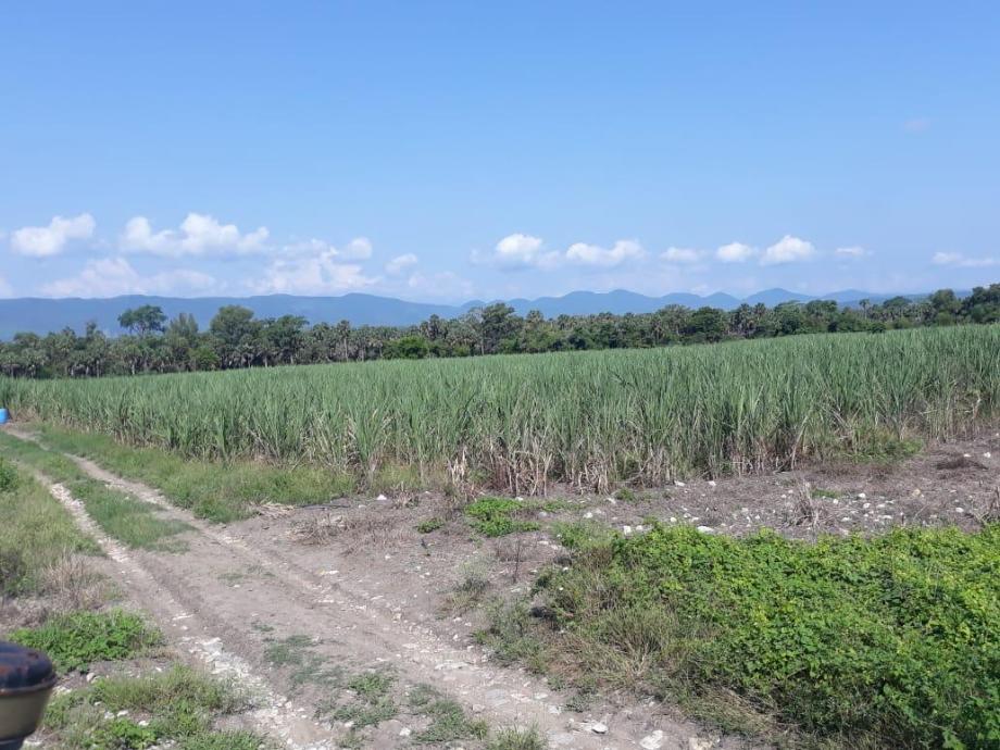 Imagen de terreno en venta en las pitas, ciudad valles, san luis potosí