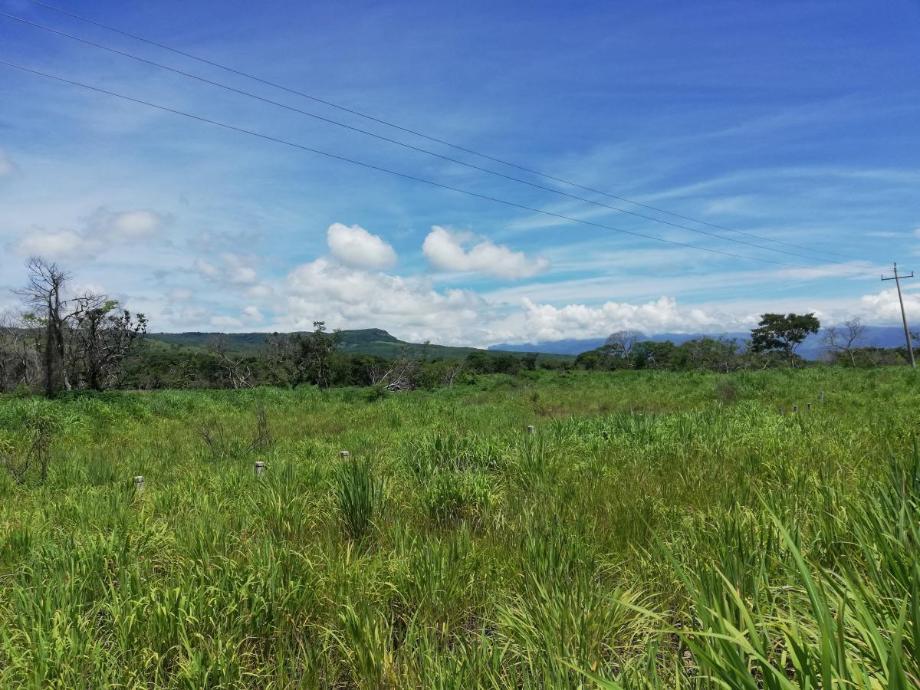 Imagen de terreno en venta en galecio narcia, chiapa de corzo, chiapas