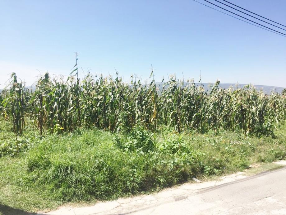 Imagen de terreno en venta en san juan temamatla, temamatla, estado de méxico