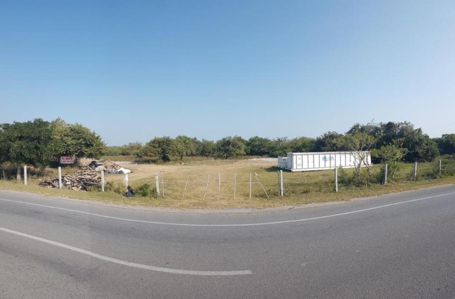 Imagen de terreno en renta en la pedrera, altamira, tamaulipas