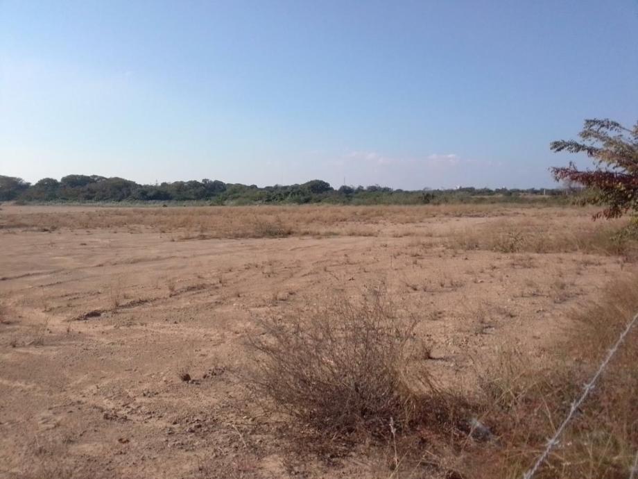 Imagen de terreno en renta en la pedrera, altamira, tamaulipas