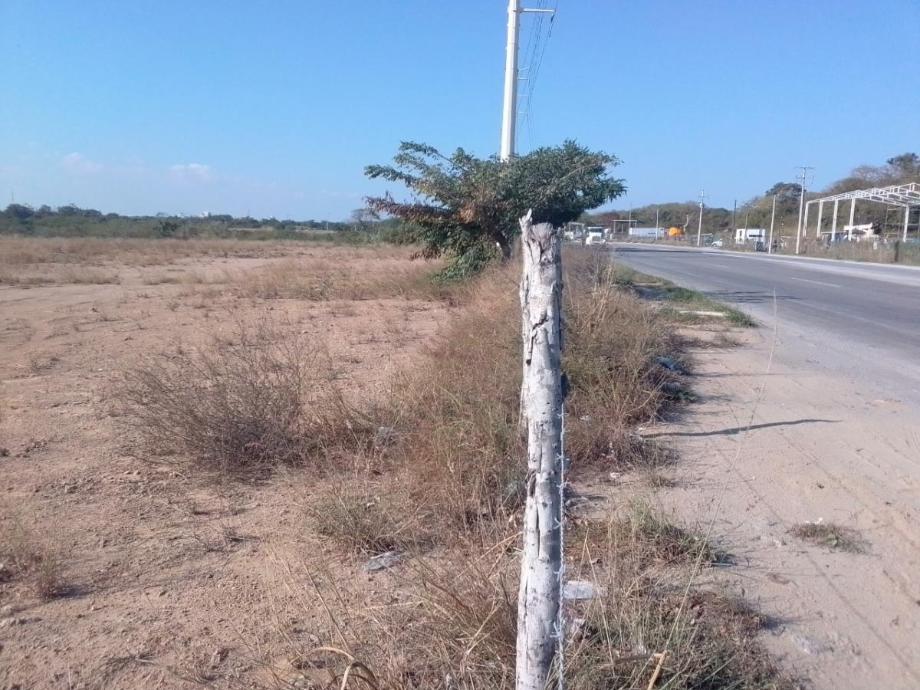Imagen de terreno en renta en la pedrera, altamira, tamaulipas