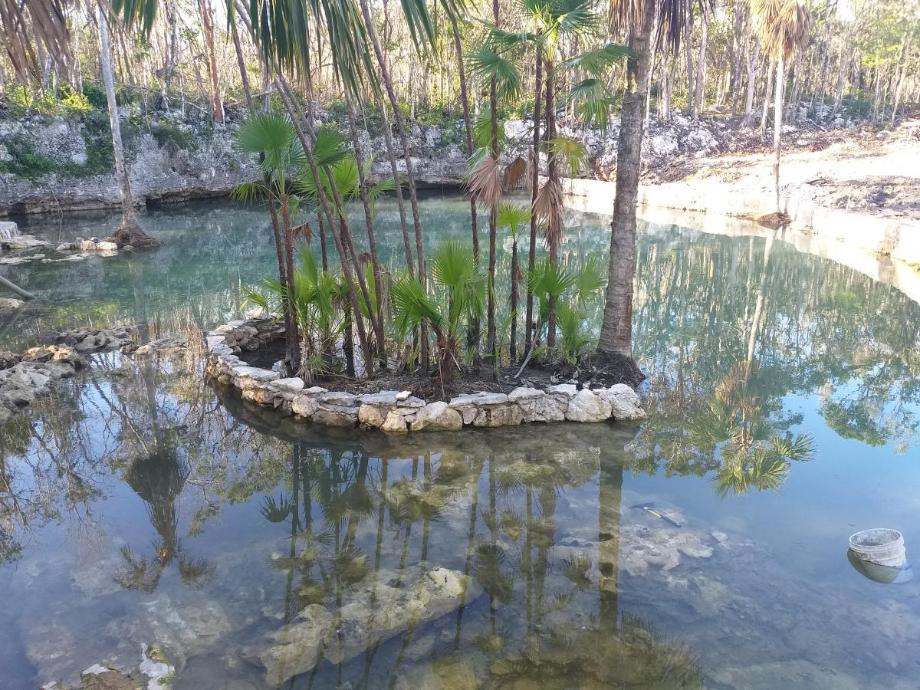 Imagen de terreno en venta en tumben kaa, tulum, quintana roo