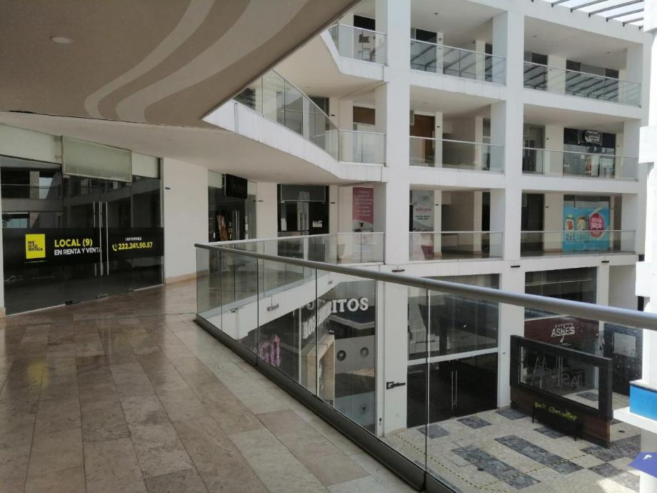 Imagen de local en renta en lomas de angelópolis ii, san andrés cholula, puebla